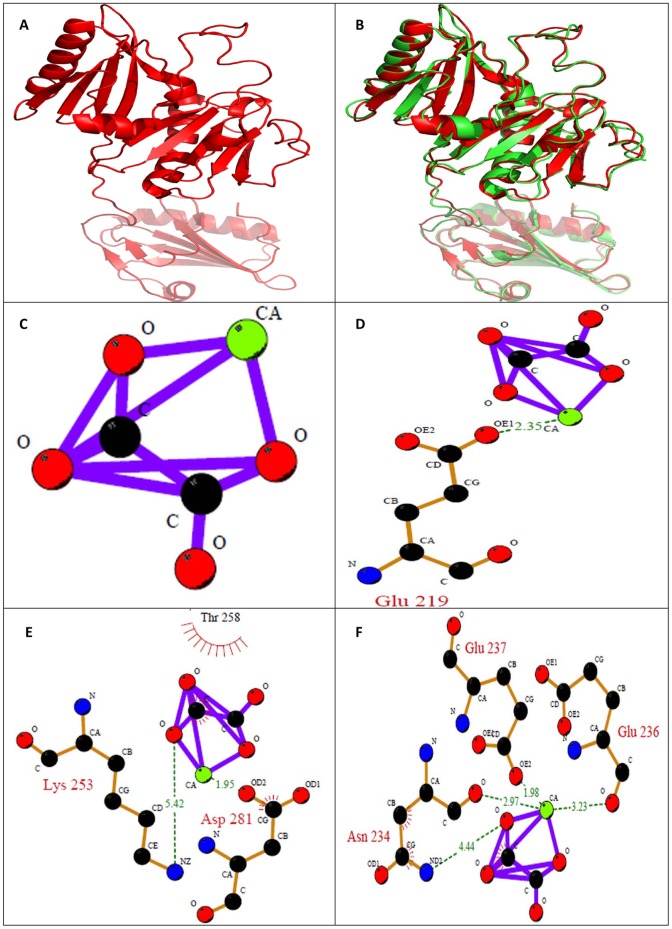 Figure 15