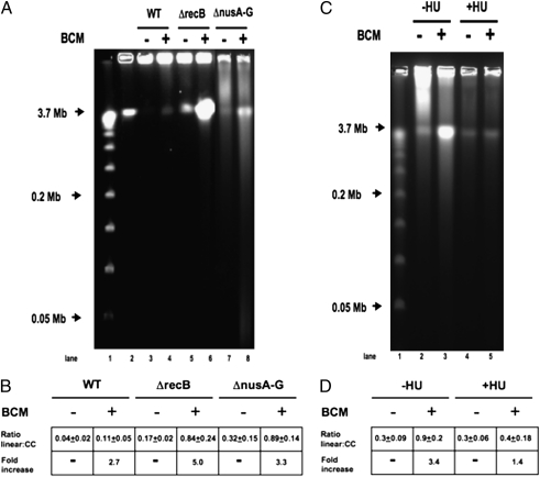 Fig. 4.