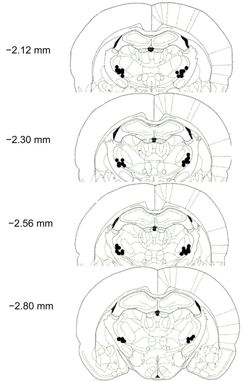 Fig. 5