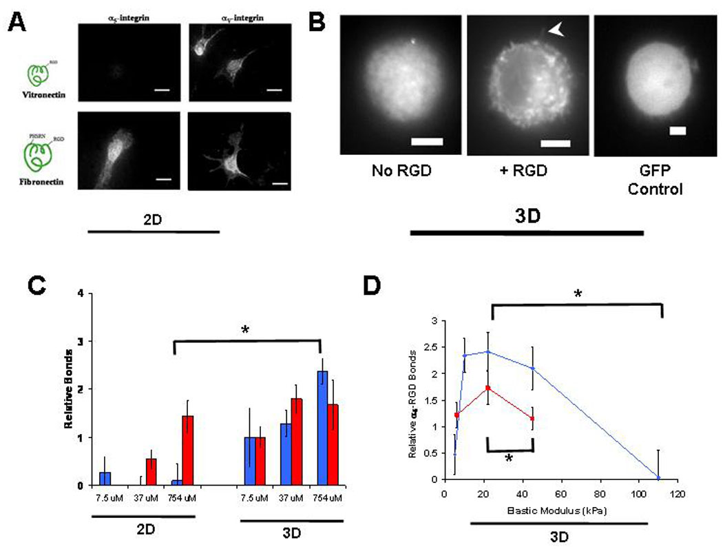 Harnessing Traction-Mediated Manipulation of the Cell-Matrix Interface ...