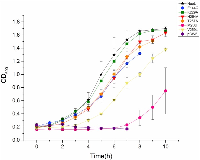 Fig 3