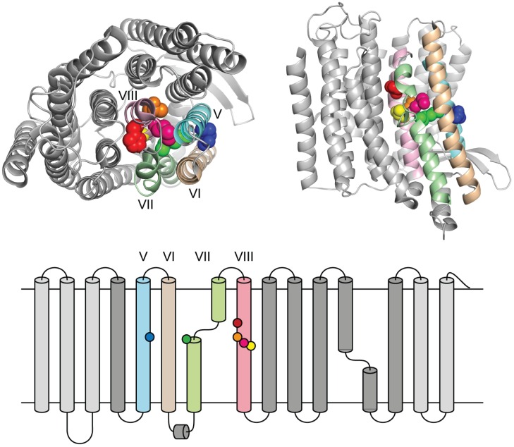 Fig 2