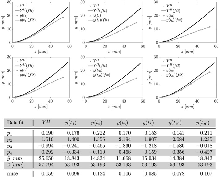 cnm2848-fig-0004