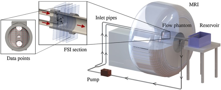 cnm2848-fig-0001