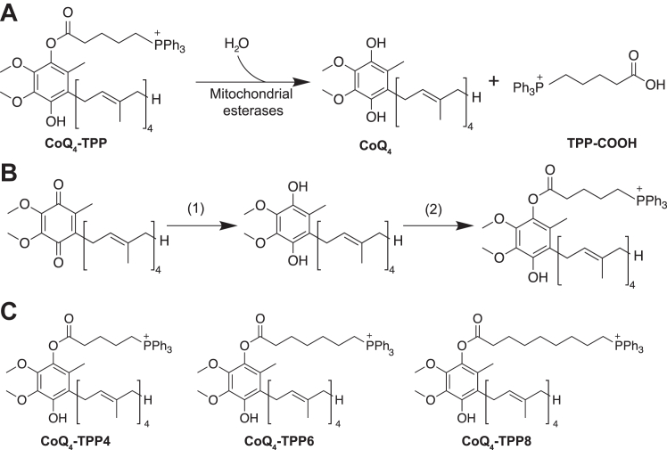 Figure 4