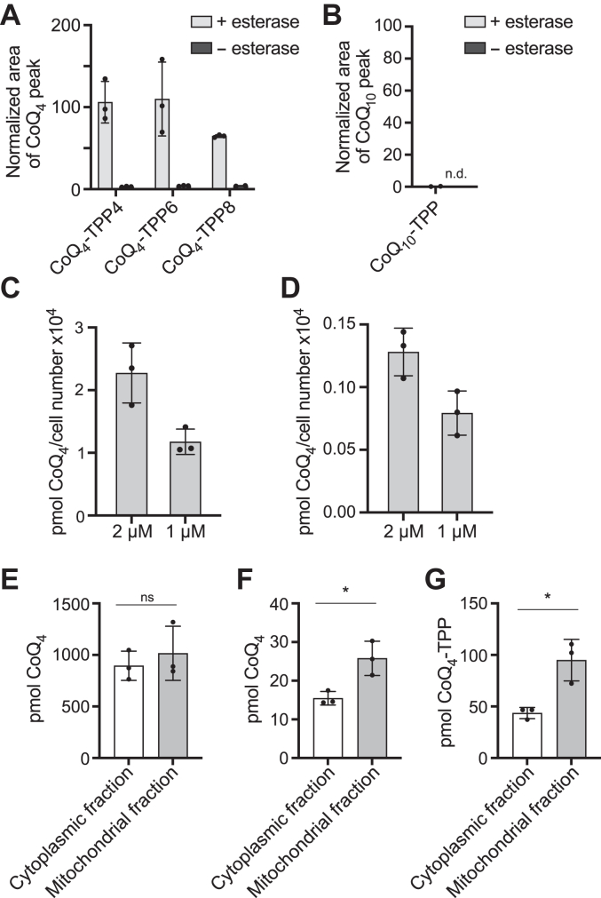 Figure 5