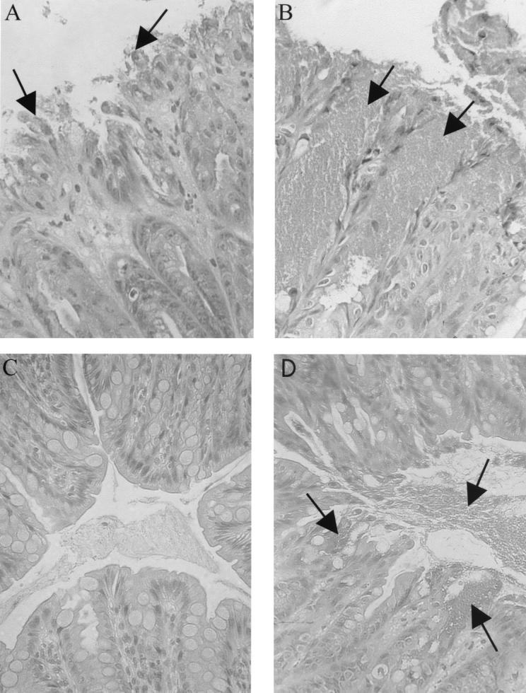 FIG. 7.