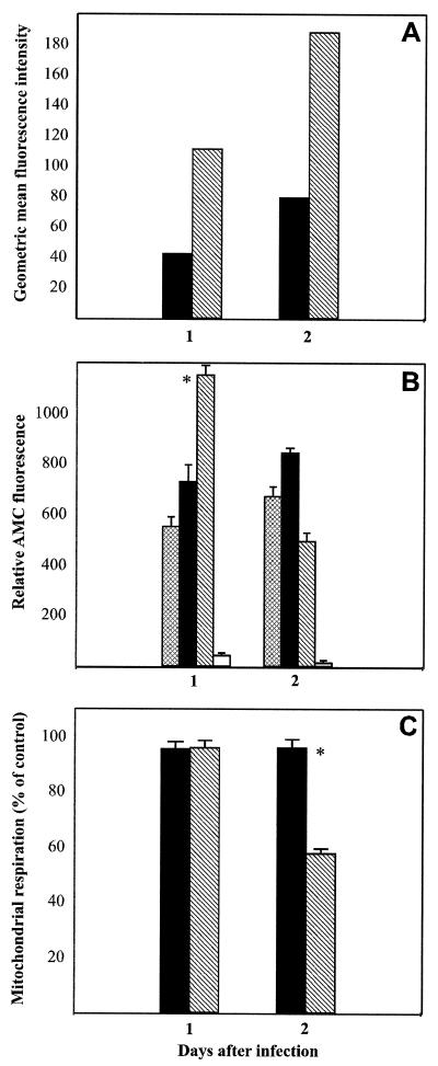 FIG. 5.