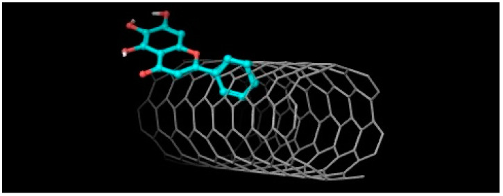 Figure 10