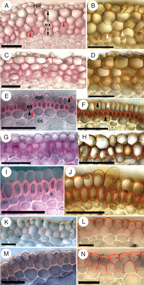 Fig. 8.