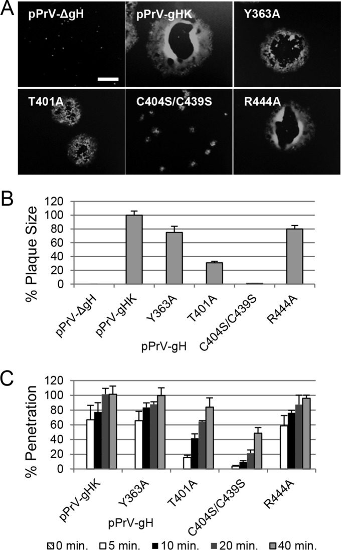 FIG 6