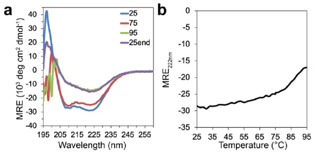 Figure 2—figure supplement 1.