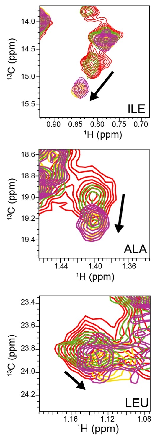 Figure 2—figure supplement 2.