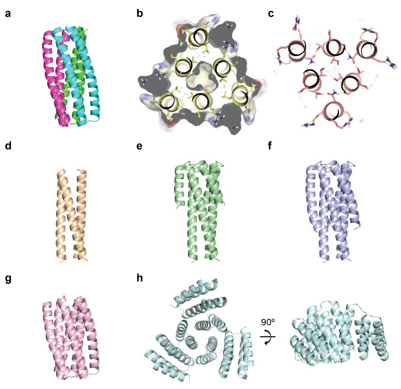 Figure 1—figure supplement 1.