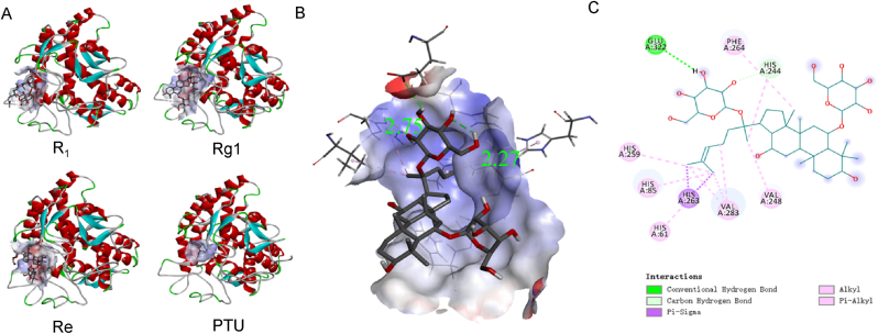 Fig. 4