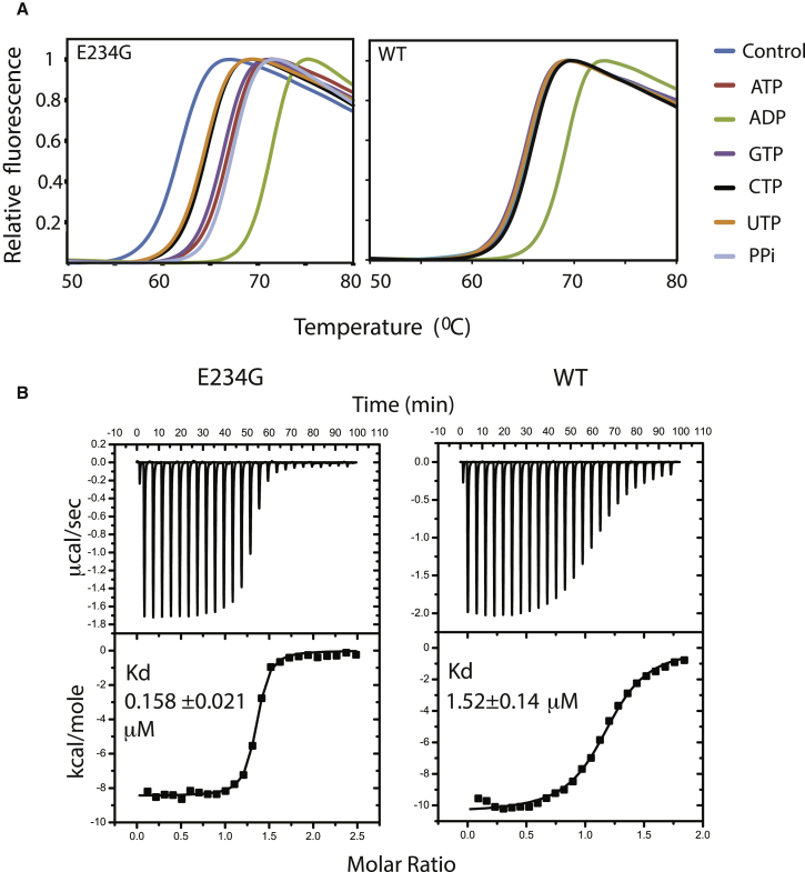 Figure 6