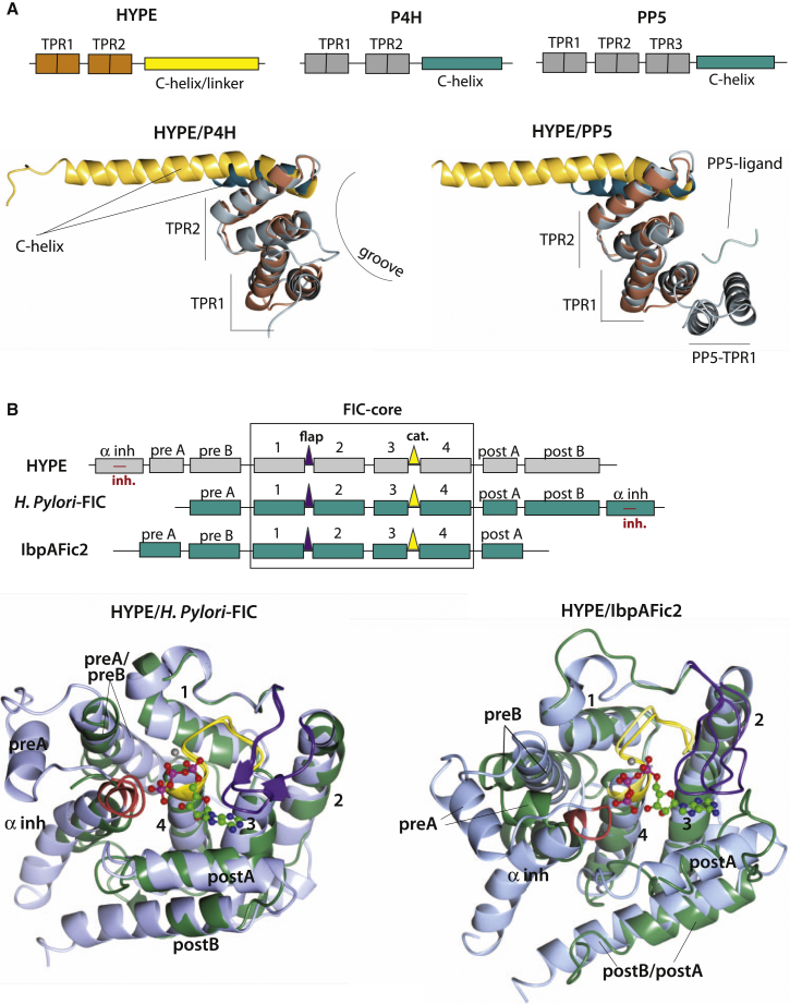 Figure 2