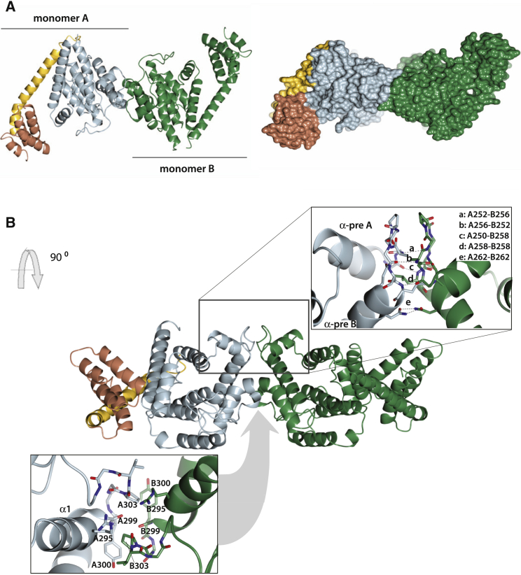 Figure 3