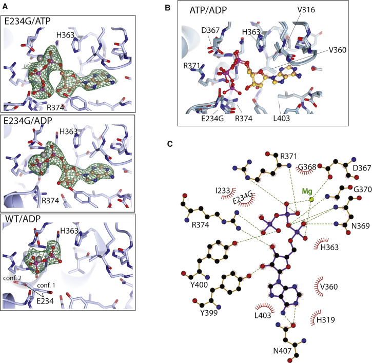 Figure 5