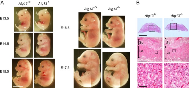 FIG 3