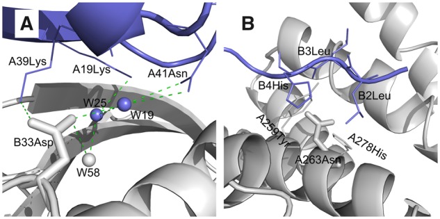 Fig. 6.