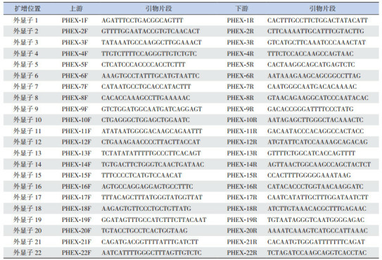 graphic file with name zgddekzz-19-5-534-T1.jpg