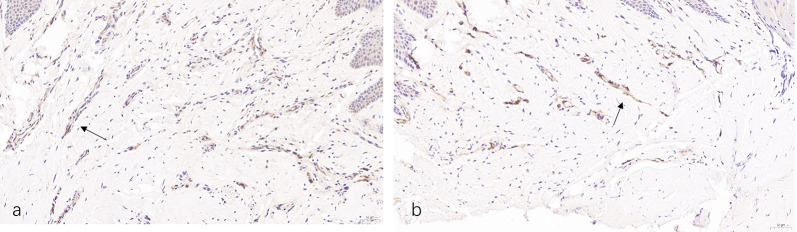 Fig. 9