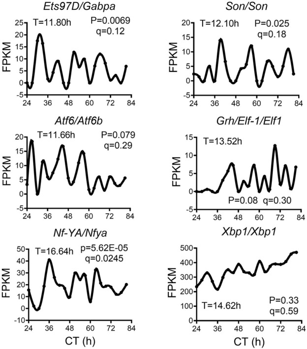 FIGURE 6