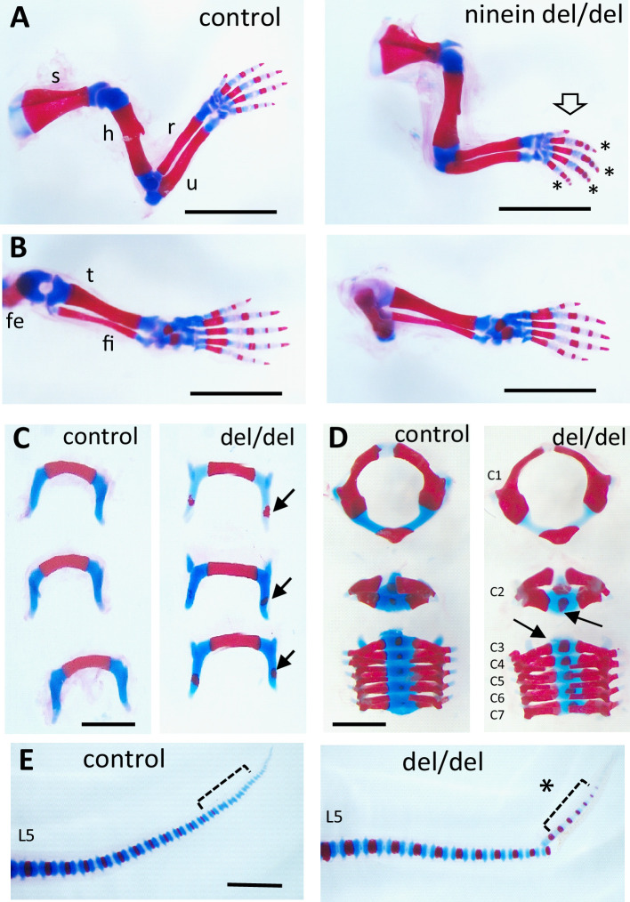 Figure 3—figure supplement 1.