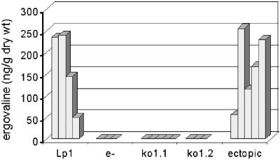 Figure 5