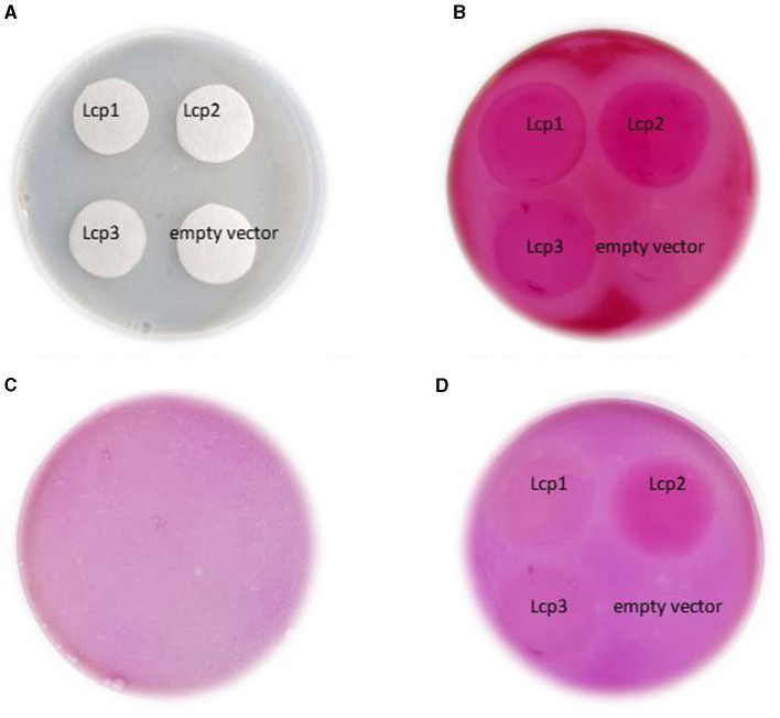 Figure 7