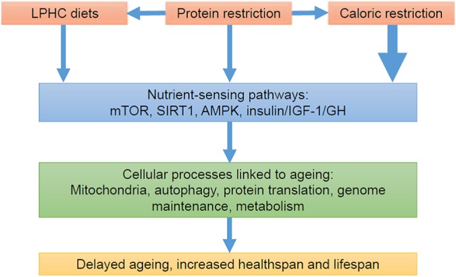 Figure 2.