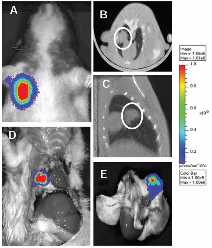 FIG. 3