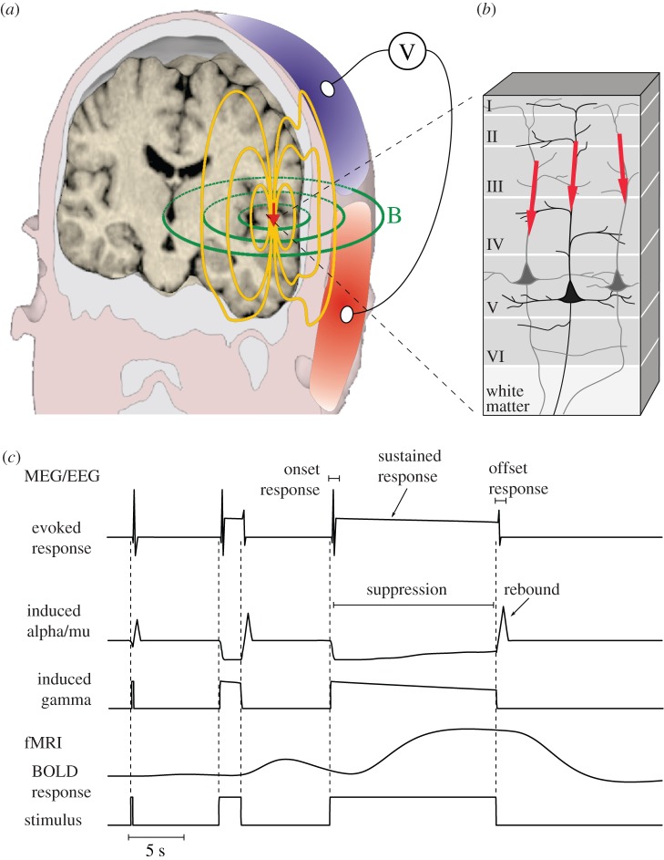 Figure 1.