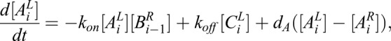 Box 1. Model formulation