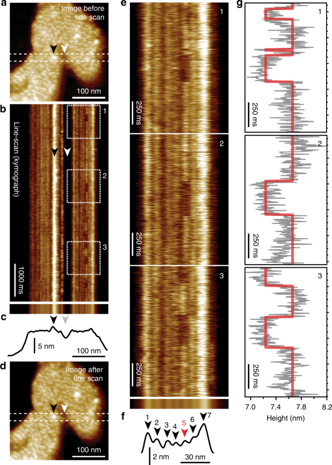 Fig. 2