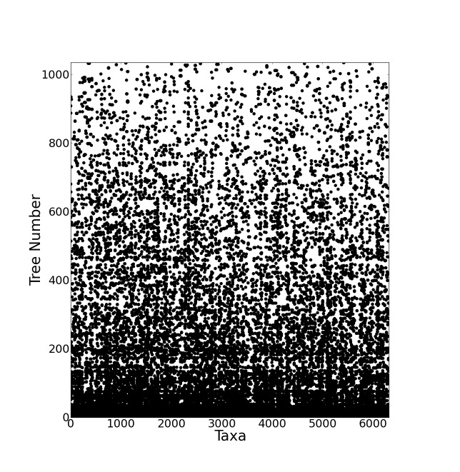 Data availability matrix for the supertree source data.