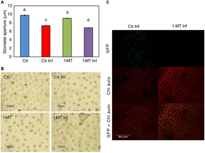 FIGURE 3