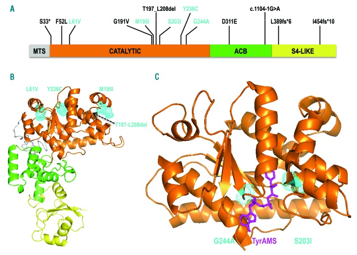 Figure 1.