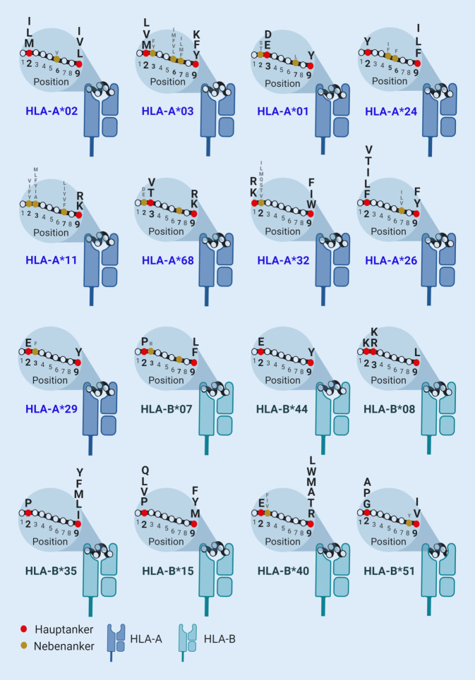graphic file with name 103_2020_3227_Fig2_HTML.jpg