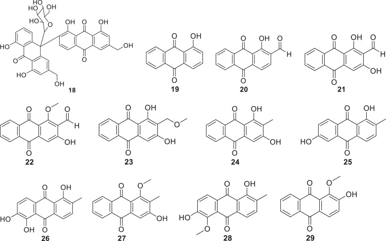 Unlabelled image