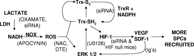 FIG. 10.