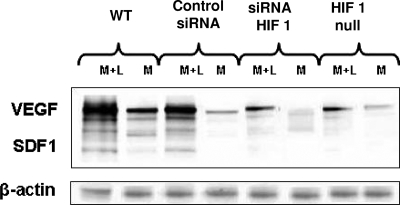 FIG. 9.