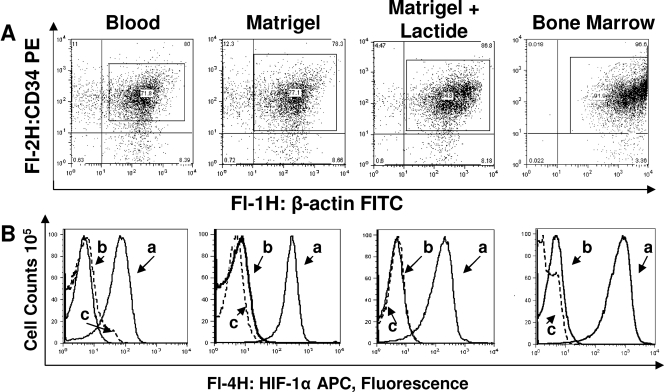 FIG. 6.