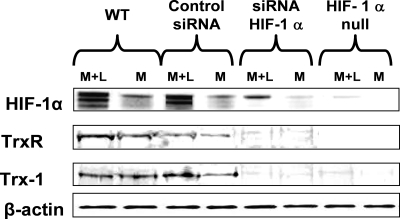 FIG. 8.