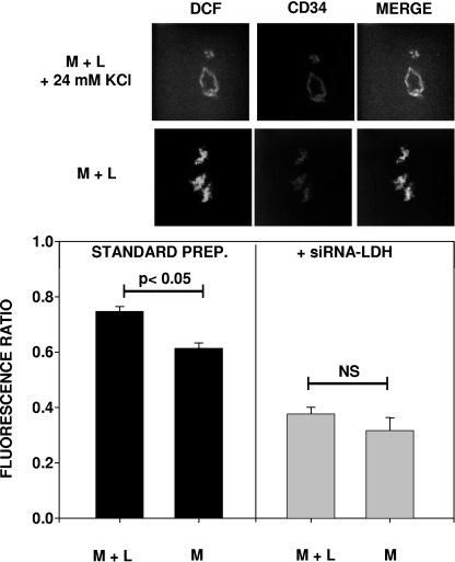 FIG. 5.