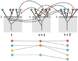 Figure 3: