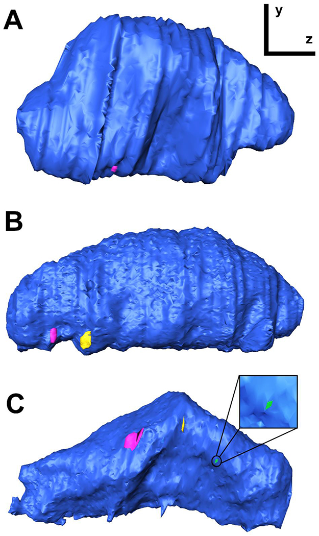 Figure 7.