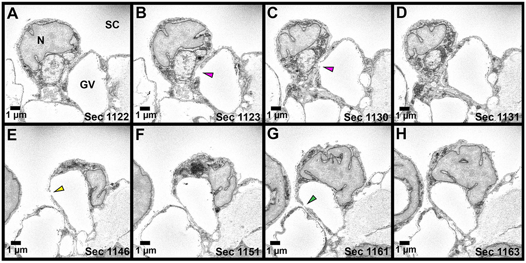 Figure 6.