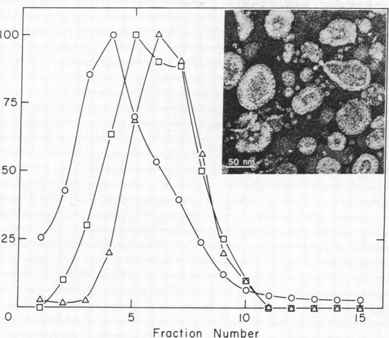 graphic file with name pnas00316-0135-a.jpg